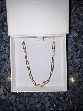St. Eve Delicate Gold Paperclip Chain Necklace for Women